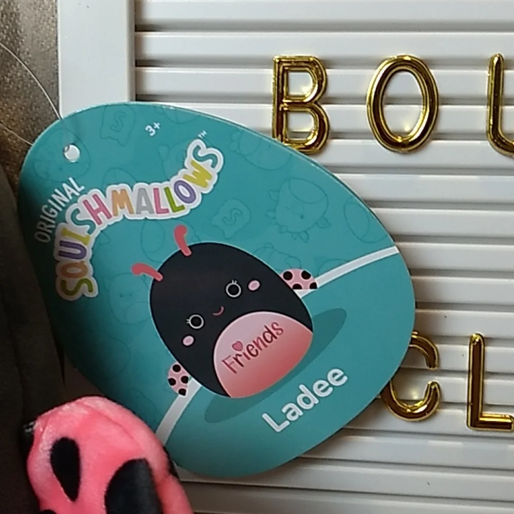 Ladee Ladybug "Friends" Original Squishmallows 10 x 9 inches 5.2.2022 Squishdate - Picture 2 of 5